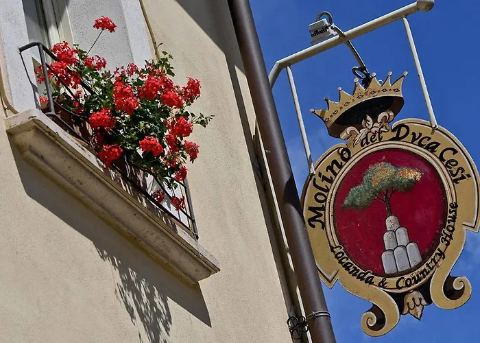Molino Del Duca Cesi